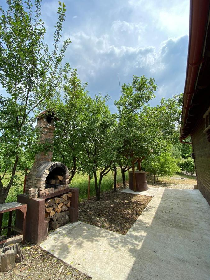 Ab'S Rustic Cabin Dejani Exterior photo